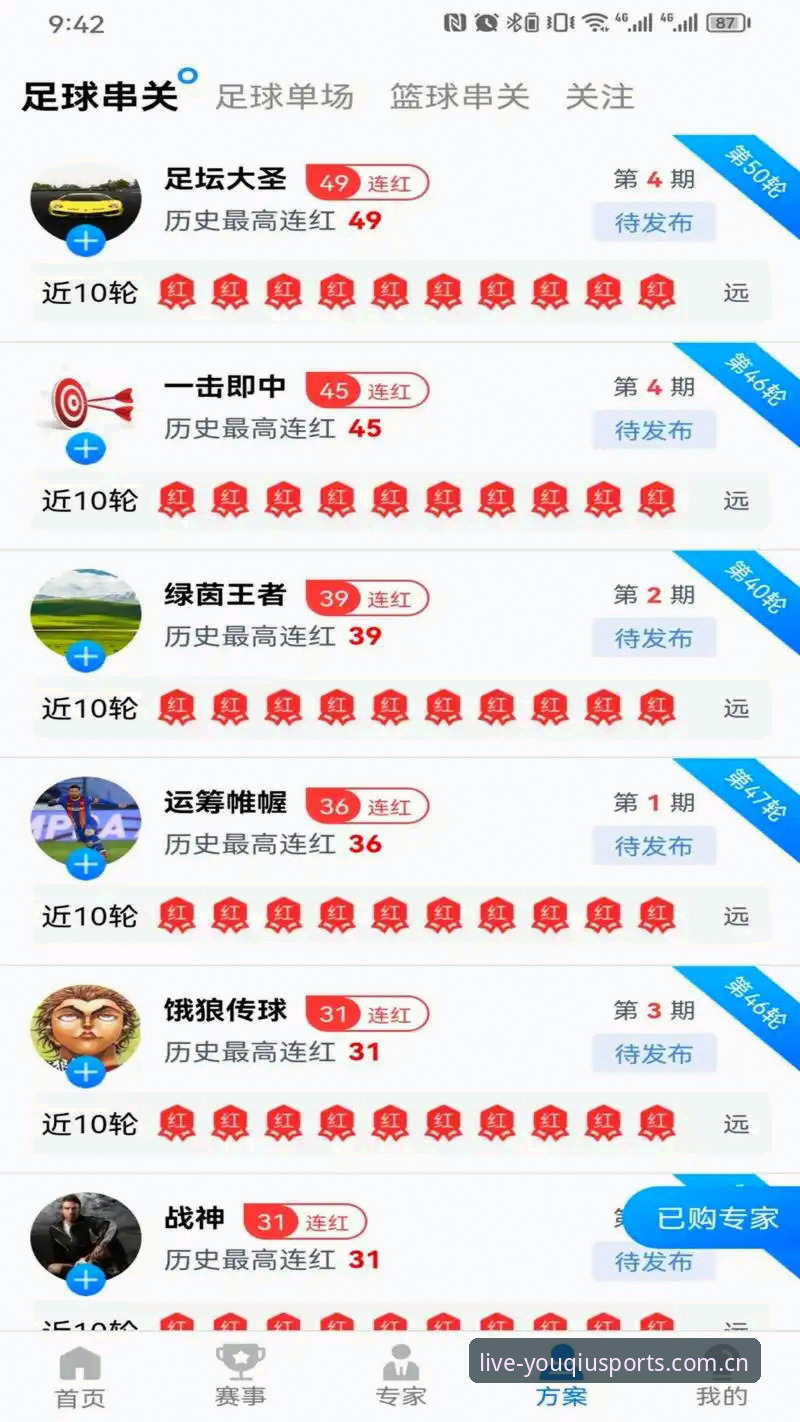有球体育正版平台深度解析：从赛事资源到观赛体验的全面说明