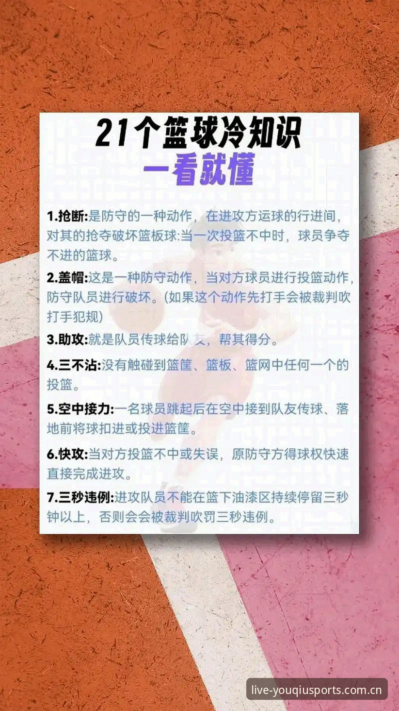 有球体育全球篮球使用教程：从安装到观赛的完整操作指南