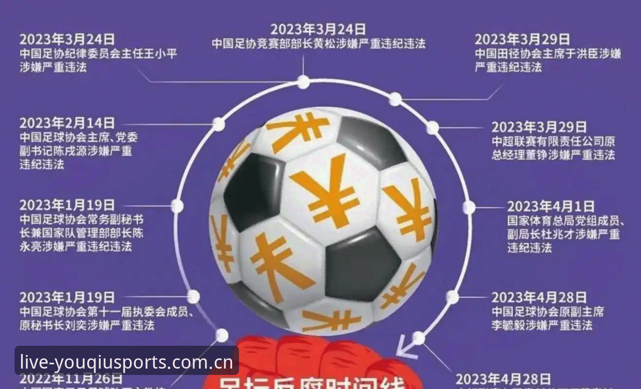 有球体育更新使用技巧 中国足协第三批禁足名单解读教程:从处罚看行业整顿趋势